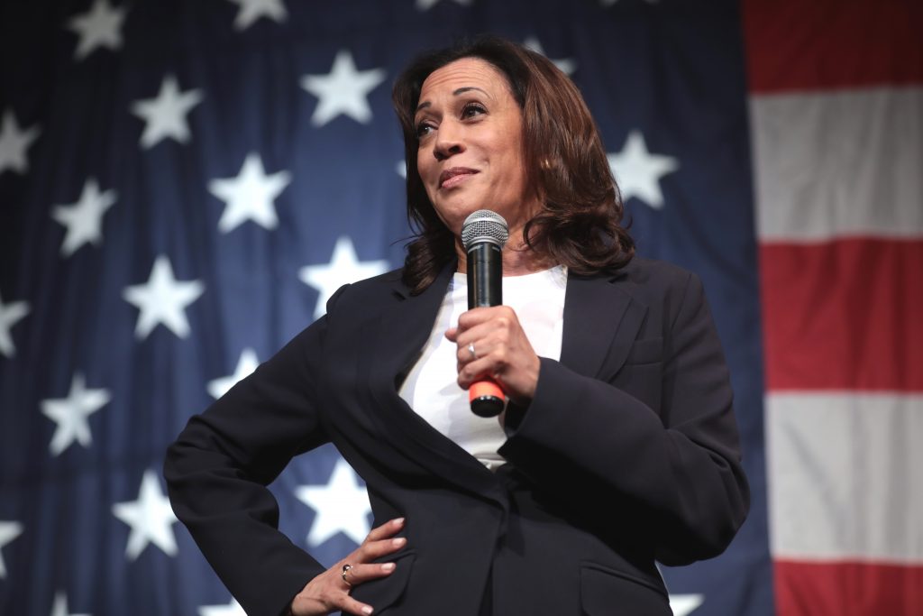 Picture of Vice President Kamala Harris with a Flag Background
